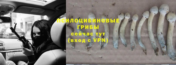 кокаин колумбия Алексин