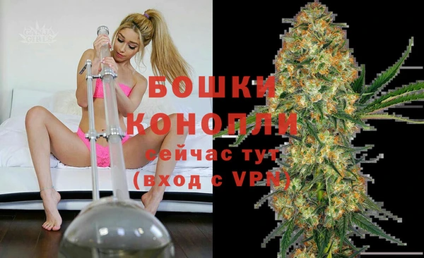 бошки Алзамай